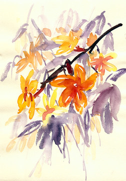 鮮艷花卉