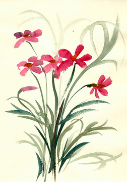 粉色小花