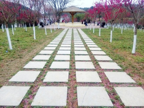石板路