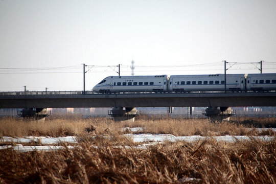 大慶 大橋 濕地大橋