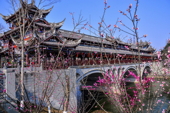 瑞龍橋 古鎮(zhèn)之春