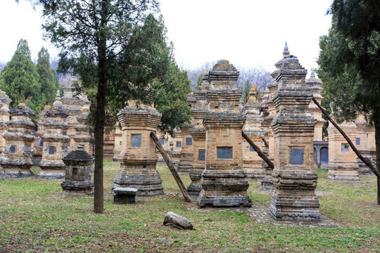 嵩山少林寺 塔林