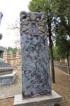 嵩山少林寺 塔林