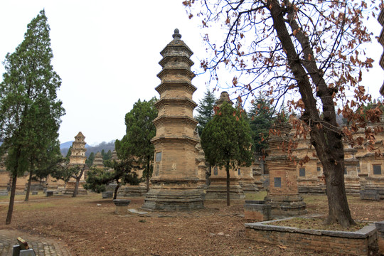 少林寺 塔林