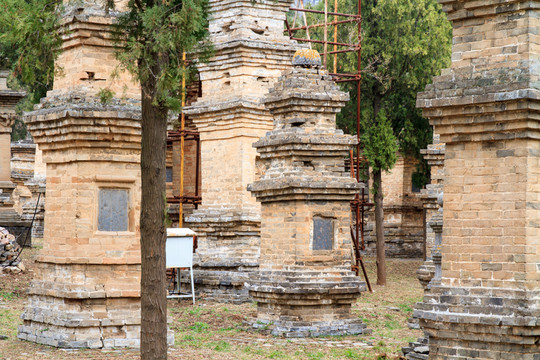 嵩山少林寺 塔林