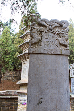 少林寺 塔林