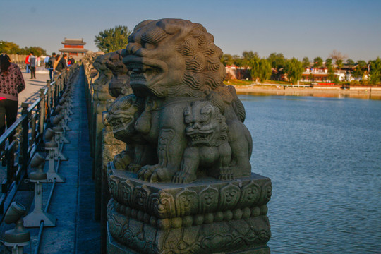 北京盧溝橋石獅子