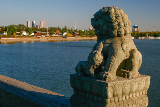 北京盧溝橋石獅子