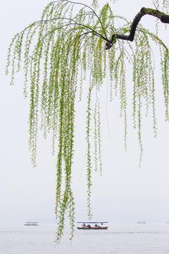 早春三月畫意江南