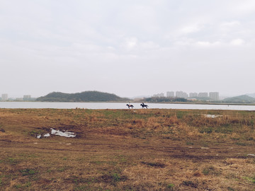 馬場(chǎng)