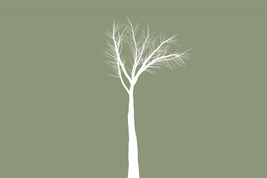 藝術(shù)樹(shù)木