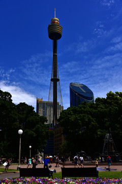 悉尼城市風(fēng)光