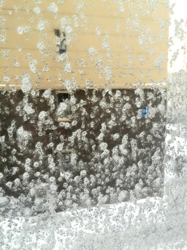 玻璃上的雪