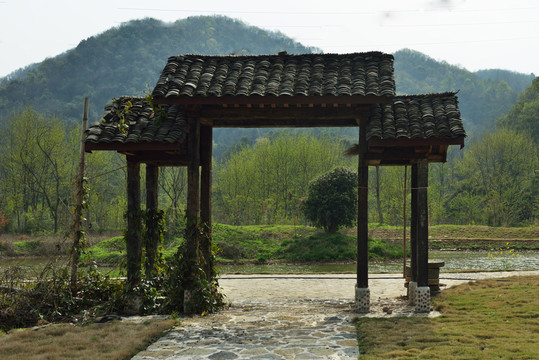 濕地 濕地公園