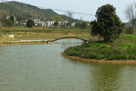 濕地 濕地公園