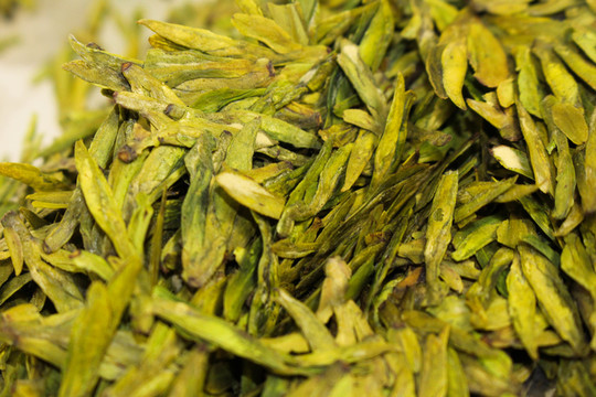綠茶 茶園 茶素材 茶文化