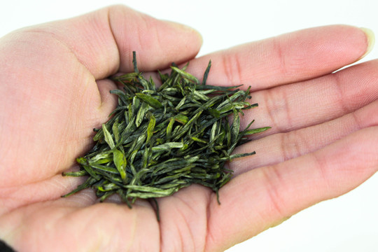 綠茶 茶園 茶素材 茶文化