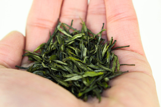 綠茶 茶園 茶素材 茶文化