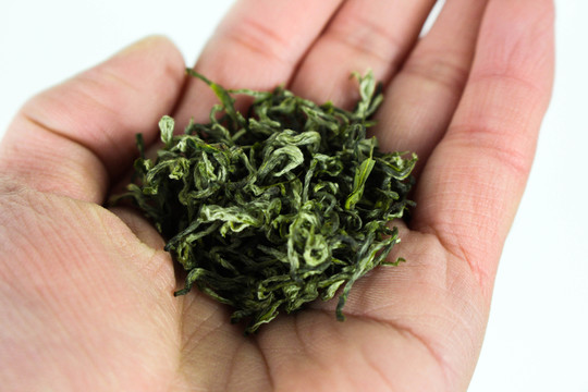 綠茶 茶園 茶素材 茶文化