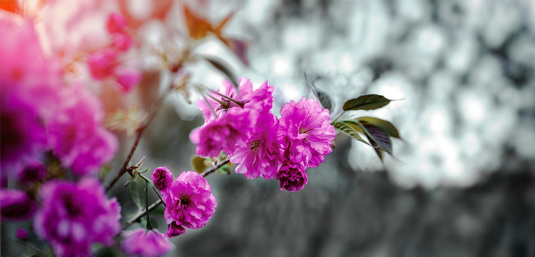 花