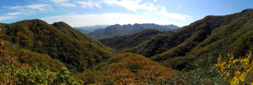 綠之山谷