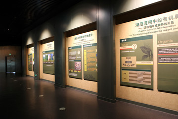 展廳 展覽 展示