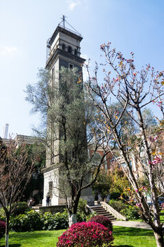 云南大學(xué)鐘樓春季櫻花風(fēng)光