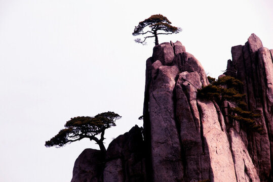 黃山峰險(xiǎn)松奇