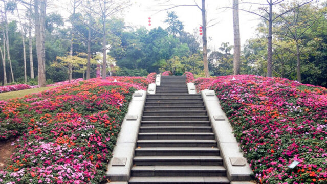 公園一角鋪滿鮮花的小路