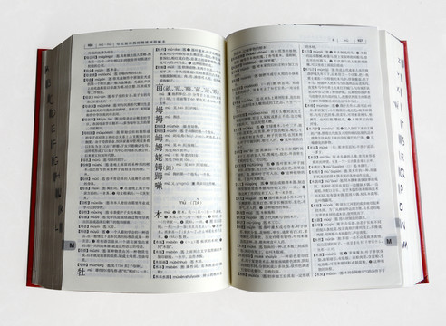 打開的字典