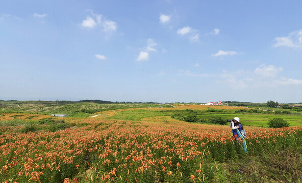 百合花莊園的開心游客
