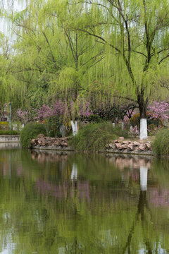 公園