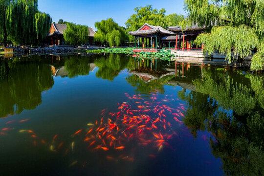 花港觀魚(yú)