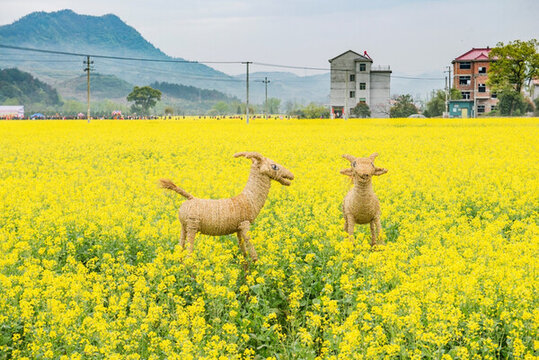 花田