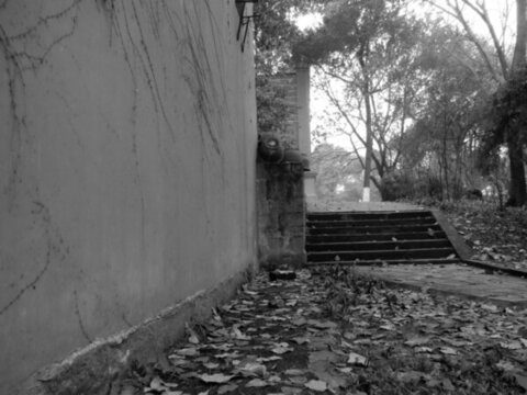 重慶沙區(qū)公園老照片