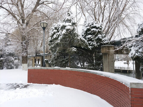 沈陽大雪路燈