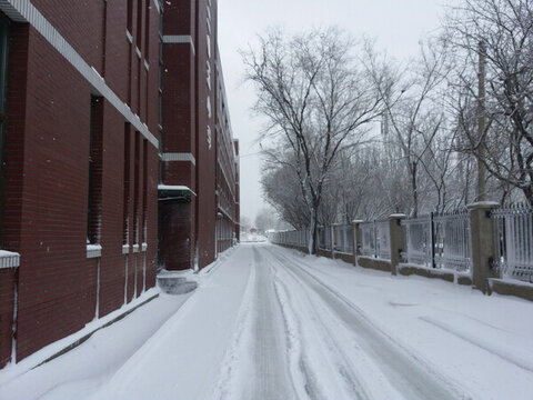 沈陽(yáng)大雪雪后