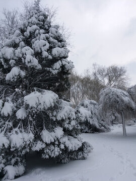 沈陽大雪陰天