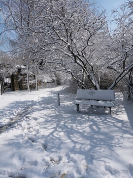 沈陽(yáng)大雪凳子