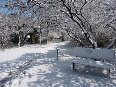 沈陽(yáng)大雪公園