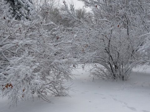 沈陽大雪公園腳印