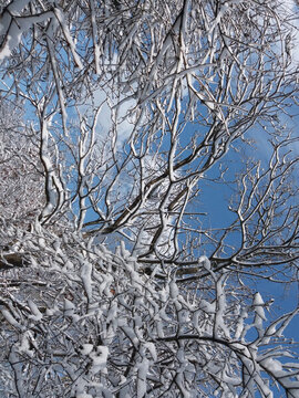 沈陽大雪公園天空