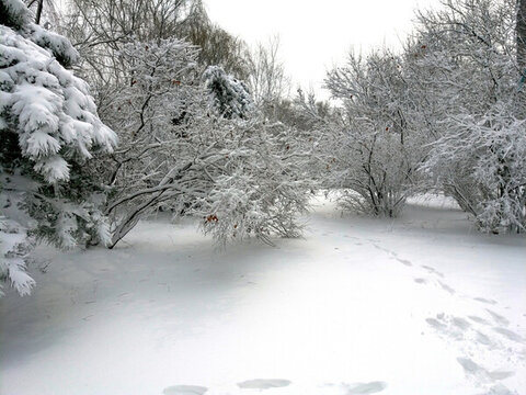 沈陽大雪公園小路
