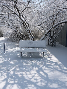 沈陽(yáng)大雪公園長(zhǎng)椅