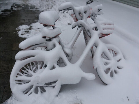 沈陽大雪摩拜單車