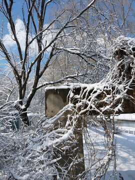 沈陽大雪石頭