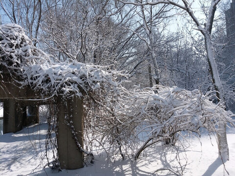 沈陽(yáng)大雪石柱