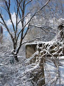 沈陽大雪雪后石柱
