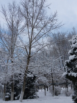 沈陽大雪之冬季