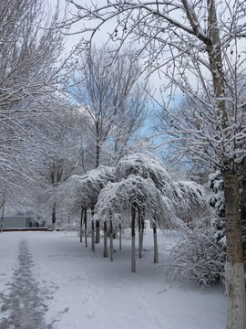 沈陽大雪之公園小道